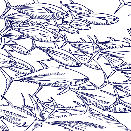 banc-thons-mer-de-liens